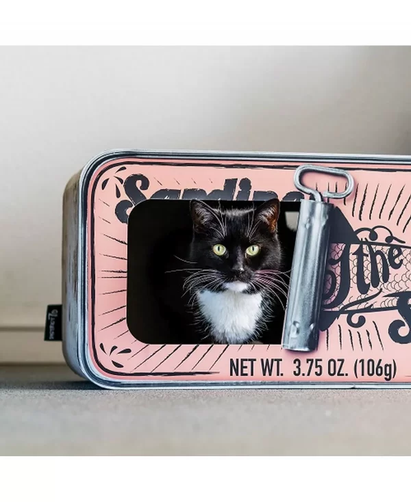 District 70 Sardine Cardboard Cat Scratcher