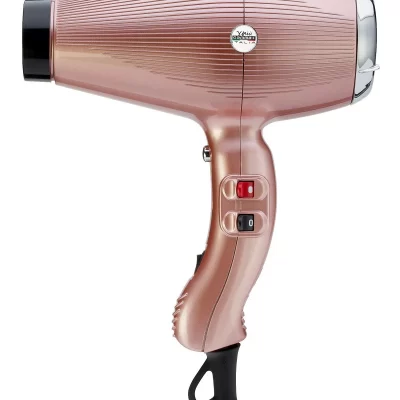Dual Ionic Professional Hair Dryer