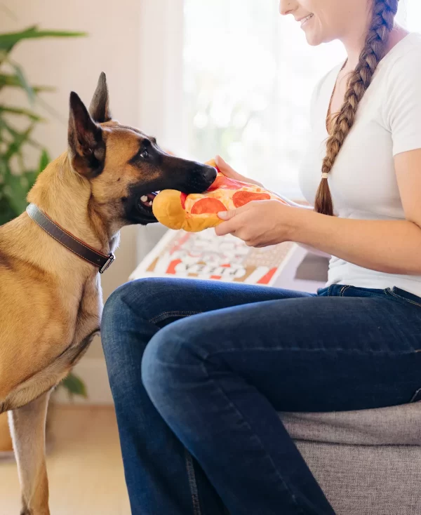 Snack Attack Puppy-Roni Pizza Plush Dog Toy